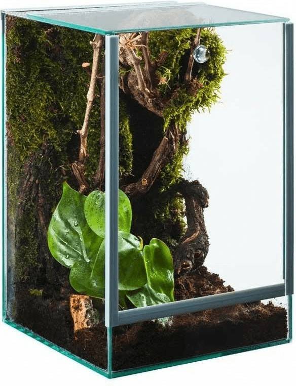 Terrarien Zooplus diversa Spider Terrarium 15x15x20cm