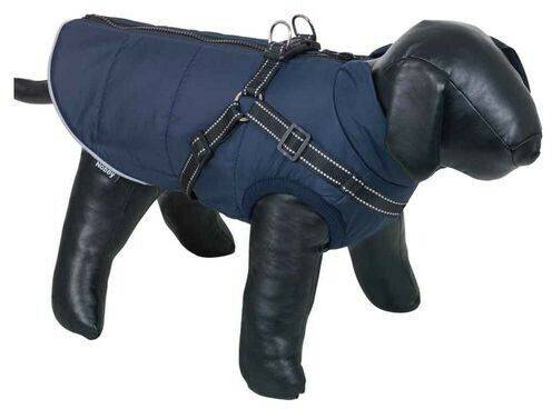 Hundebekleidung Zooplus Nobby Hundemantel Sobak 2in1 navy 40cm (65173)