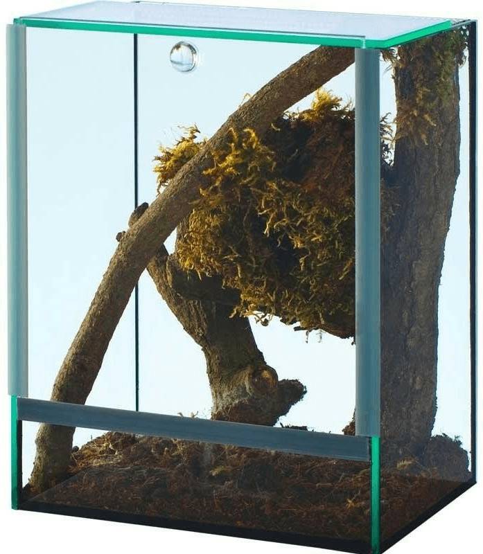 Terrarien Zooplus diversa Spider Terrarium 15x15x20cm